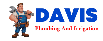 Trusted plumber in LEHR